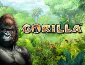 jogos de aposta que pagam